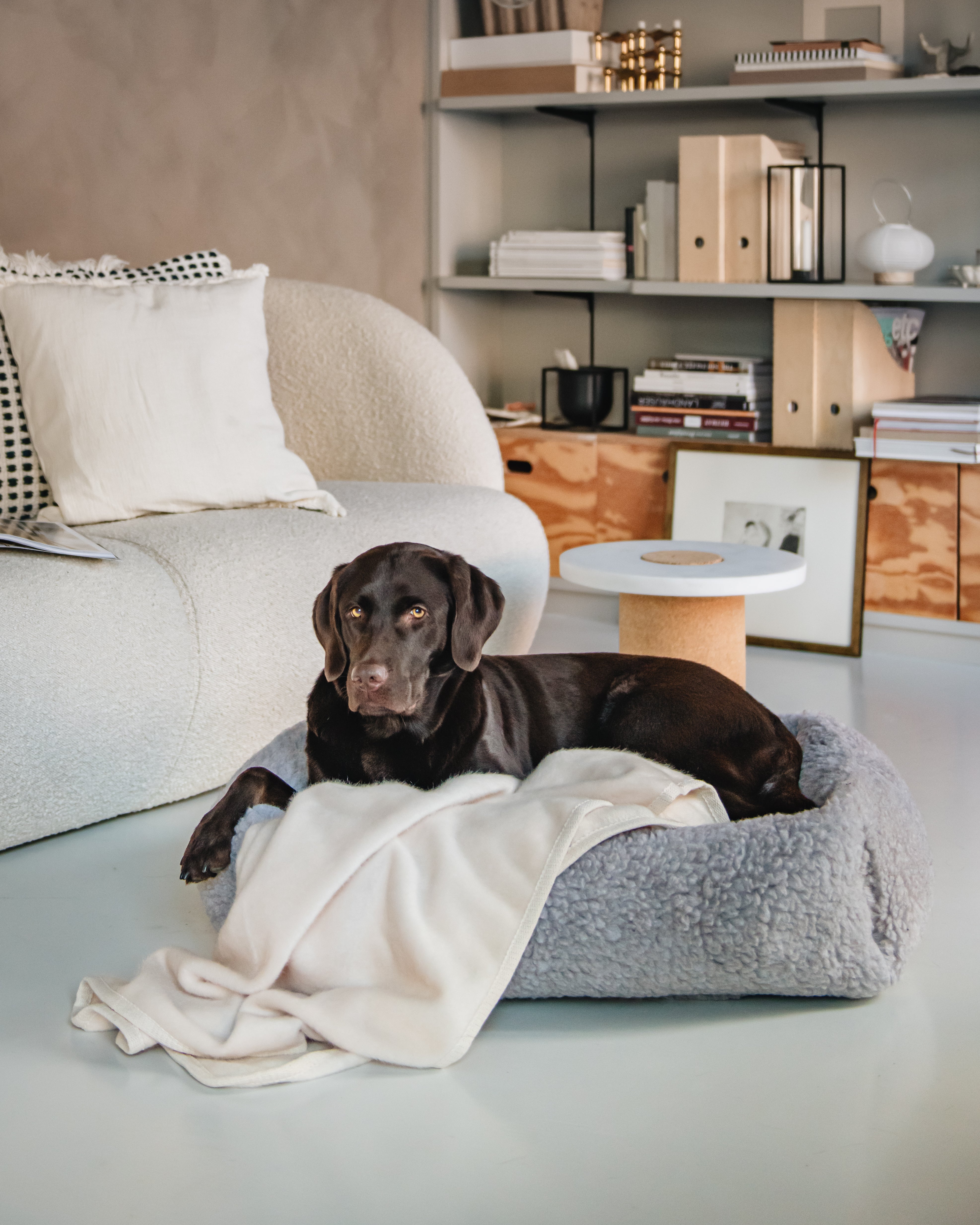 Petstudio ApS logo