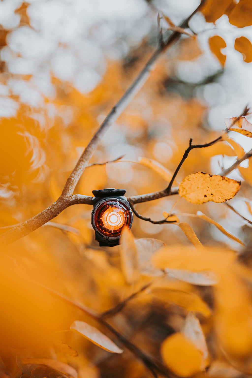 Orbiloc Dog Dual - amber