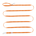 Haqihana Line - Carrot