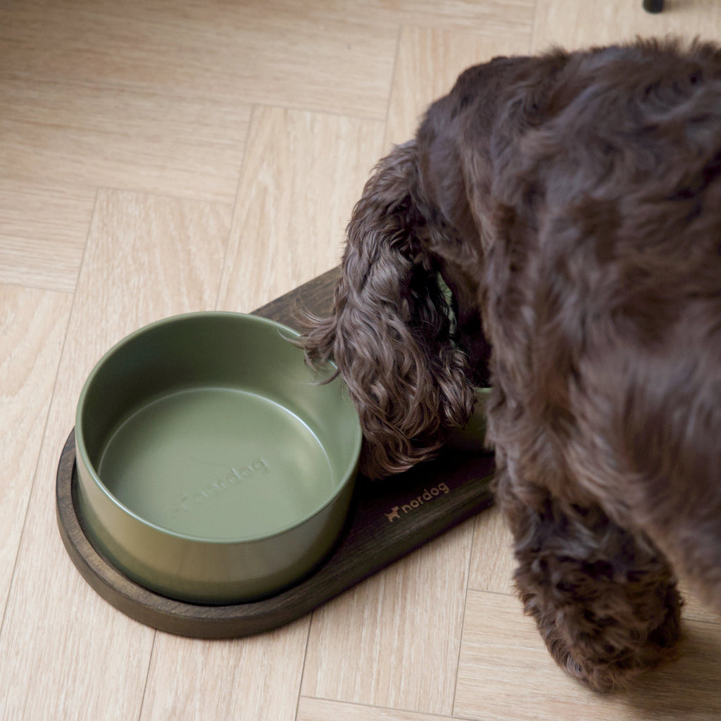 Barcelona Double Dog Bowl - smoked oak, green