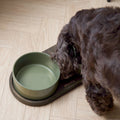 Barcelona Double Dog Bowl - smoked oak, green