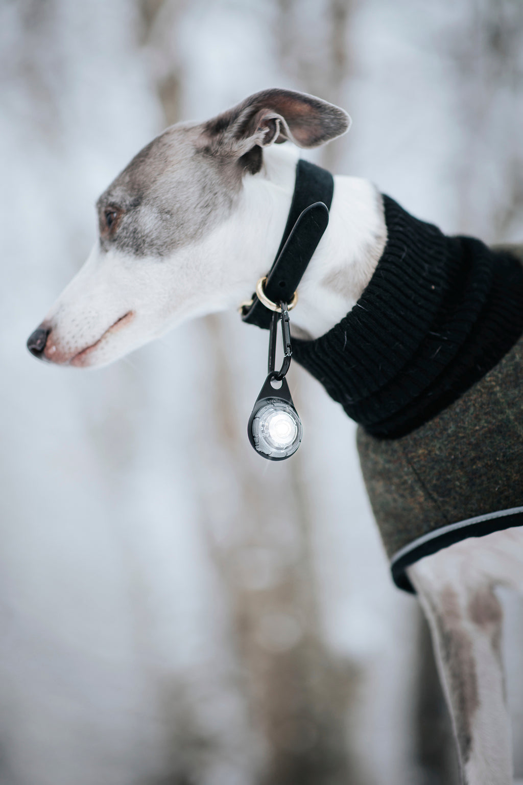 Orbiloc Dog Dual - white