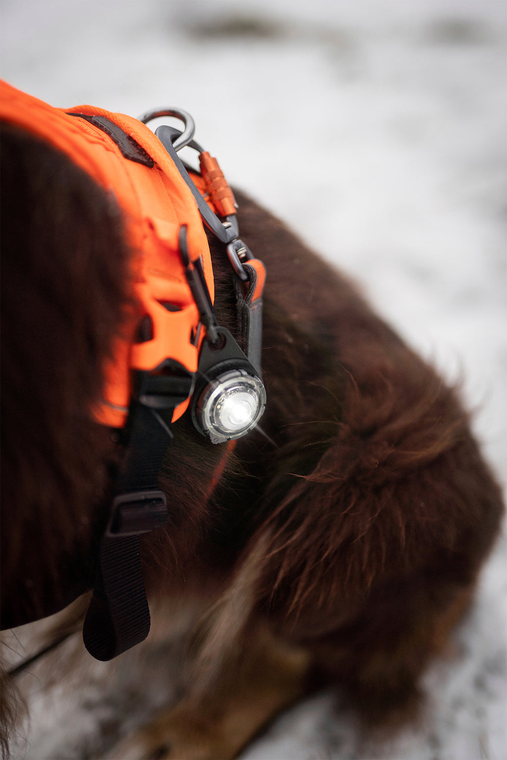 Orbiloc Dog Dual - white