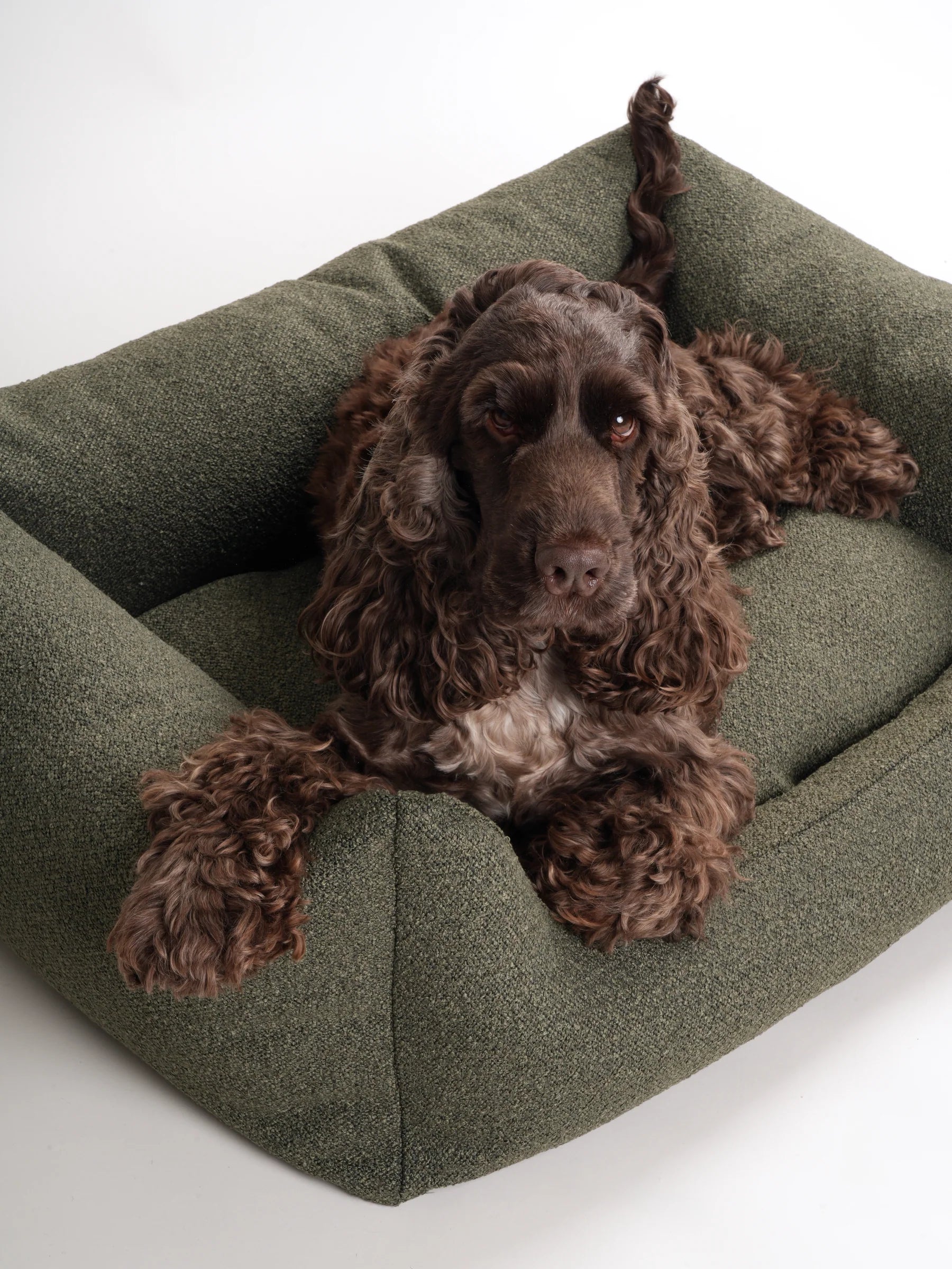 Billy Boucle seng - forest