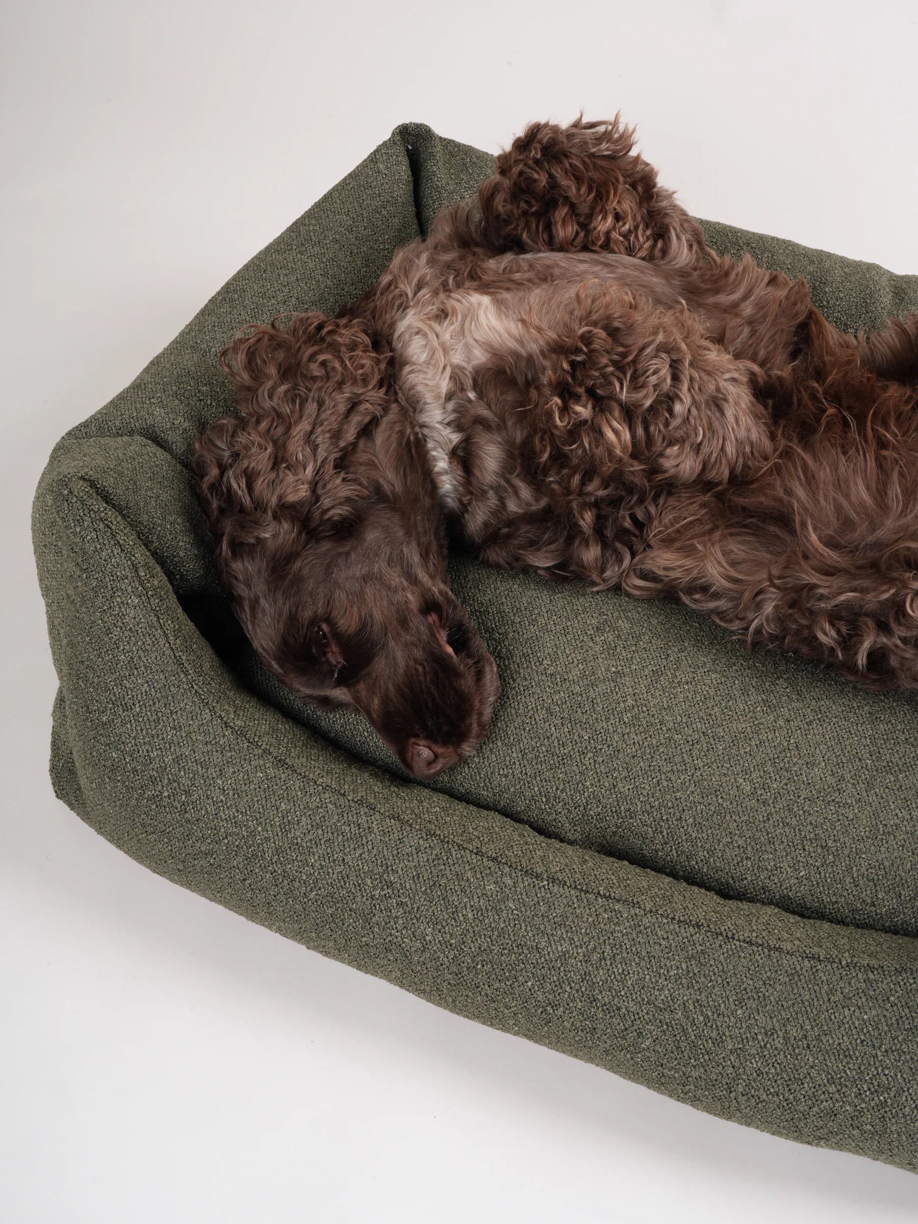 Billy Boucle seng - forest