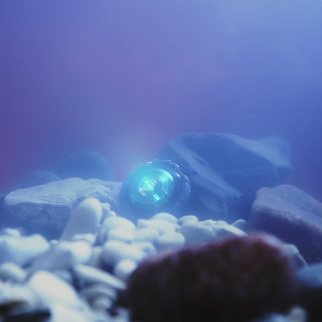 Orbiloc Dog Dual - grøn