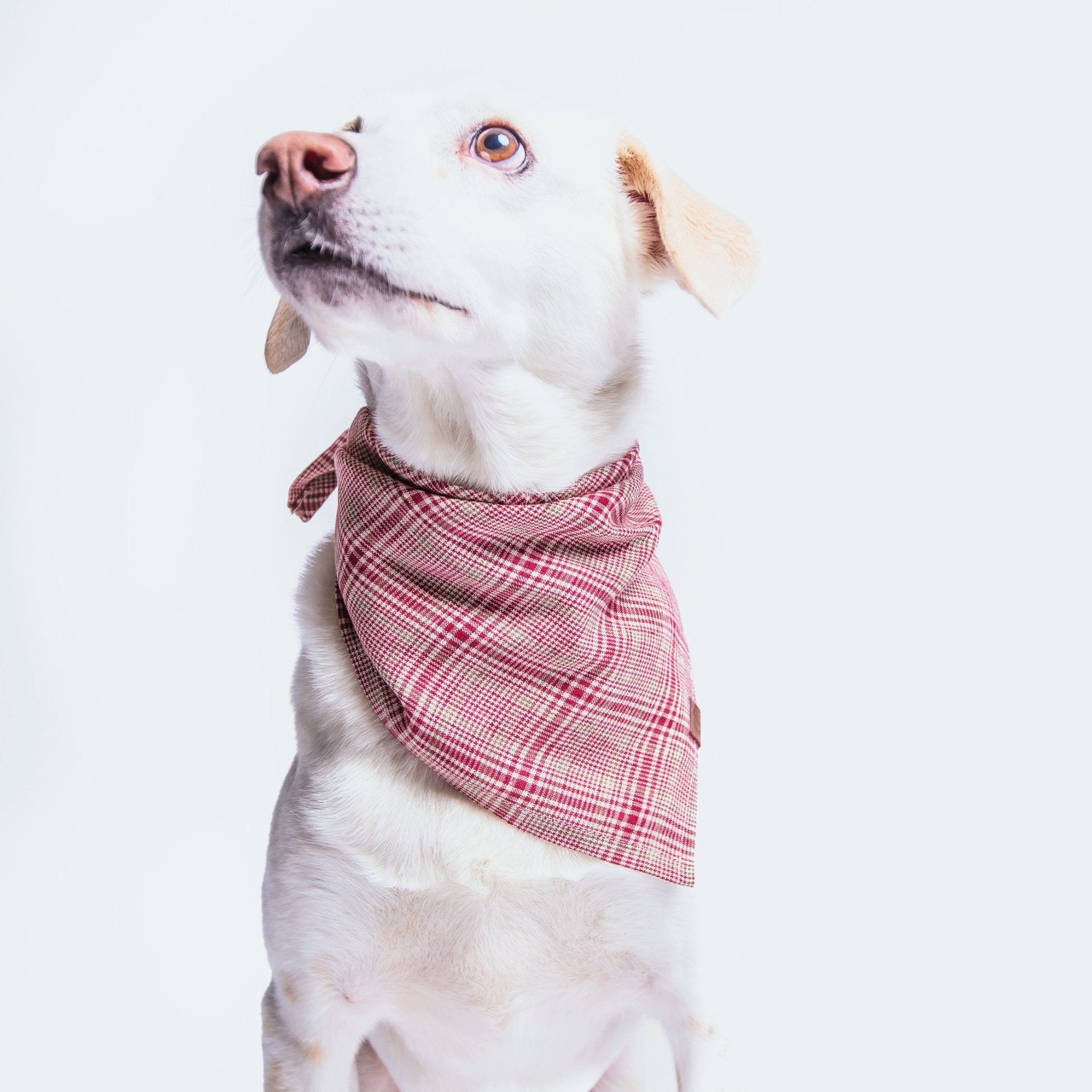 Bandana - Rødternet - Petstudio.dk