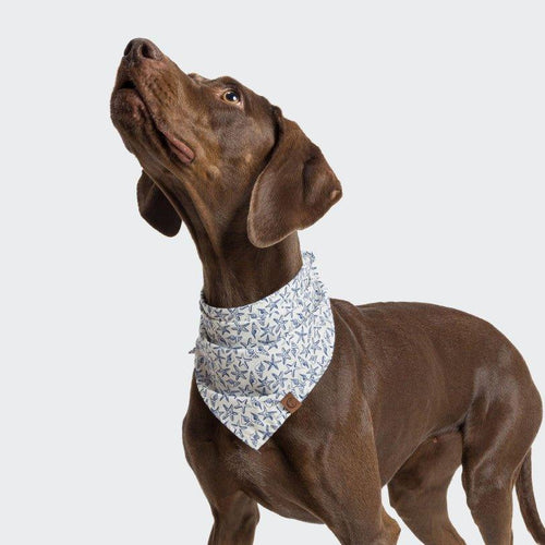 Bandana - Søstjerne - Petstudio.dk
