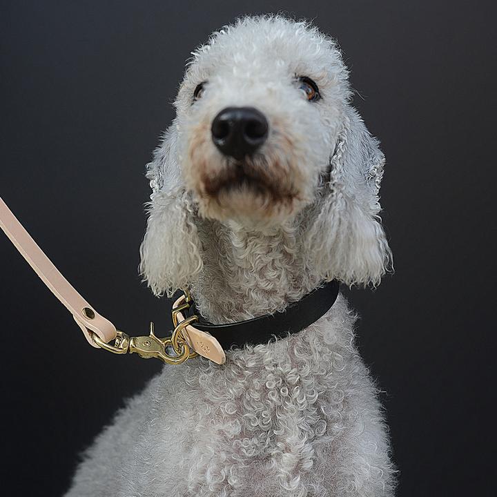 Beige & Sort Halsbånd - Petstudio.dk