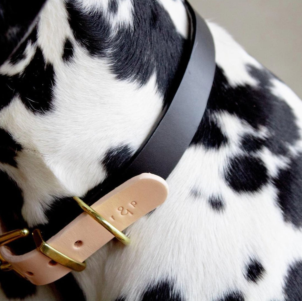 Beige & Sort Halsbånd - Petstudio.dk