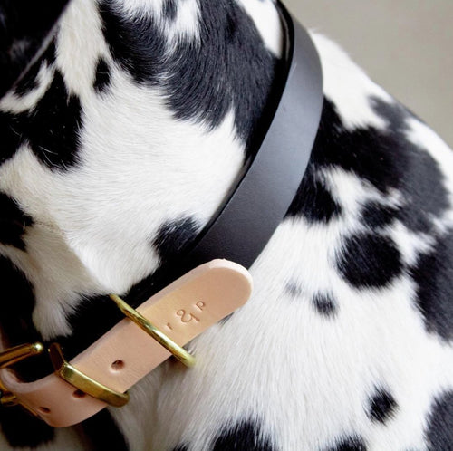 Beige & Sort Halsbånd - Petstudio.dk