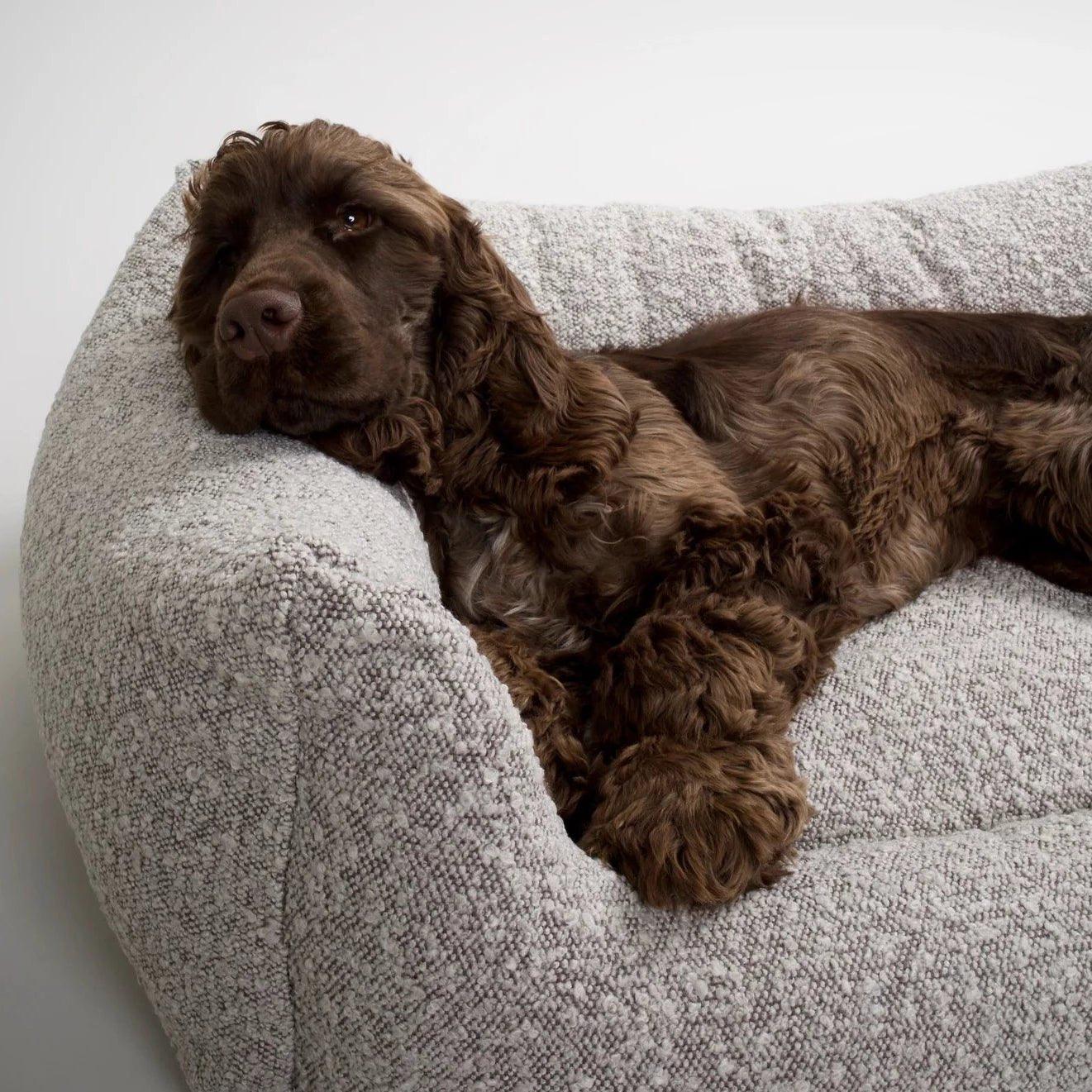 Billy Boucle - seng - Petstudio.dk