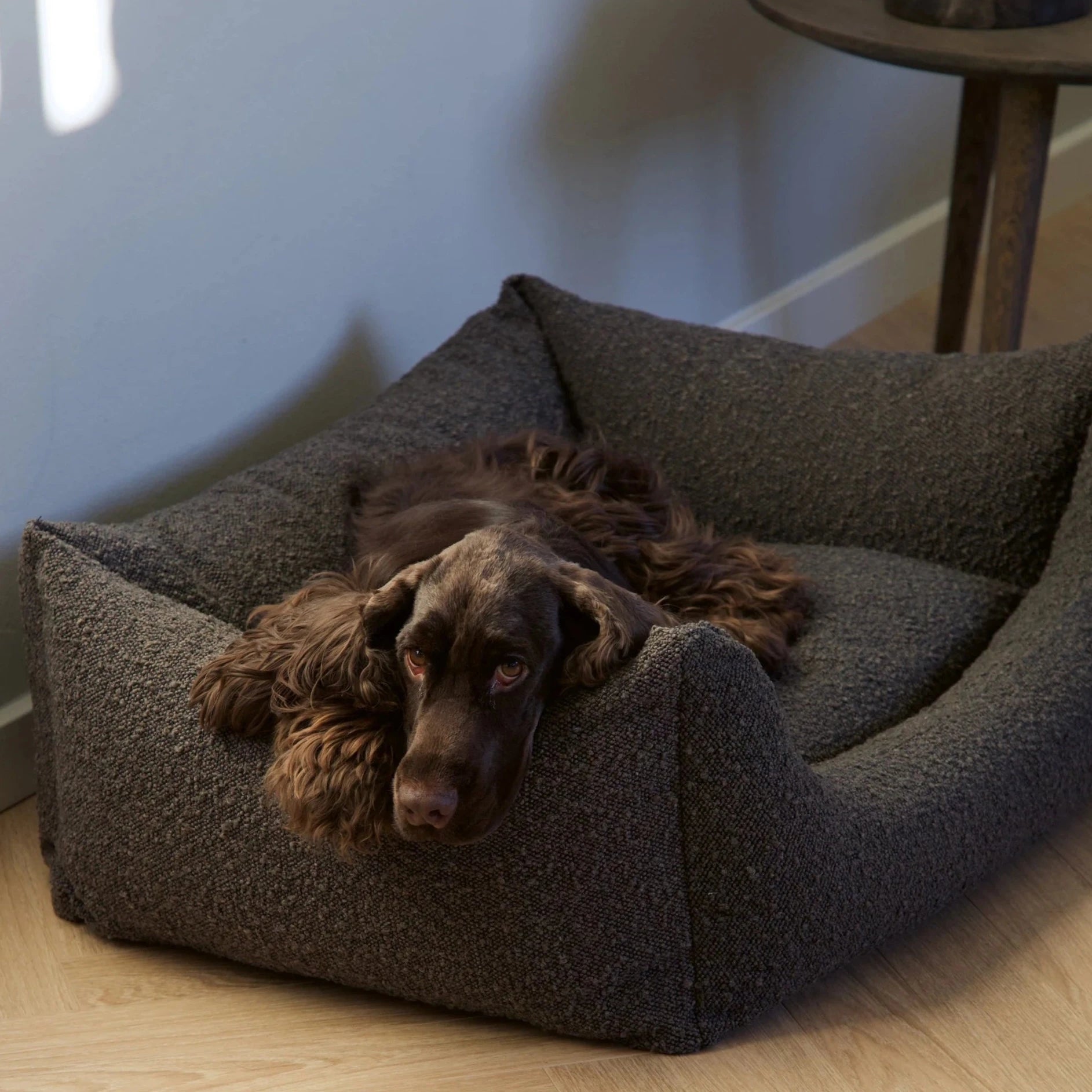 Billy Boucle seng - mocca - Petstudio.dk