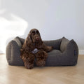 Billy Boucle seng - mocca - Petstudio.dk