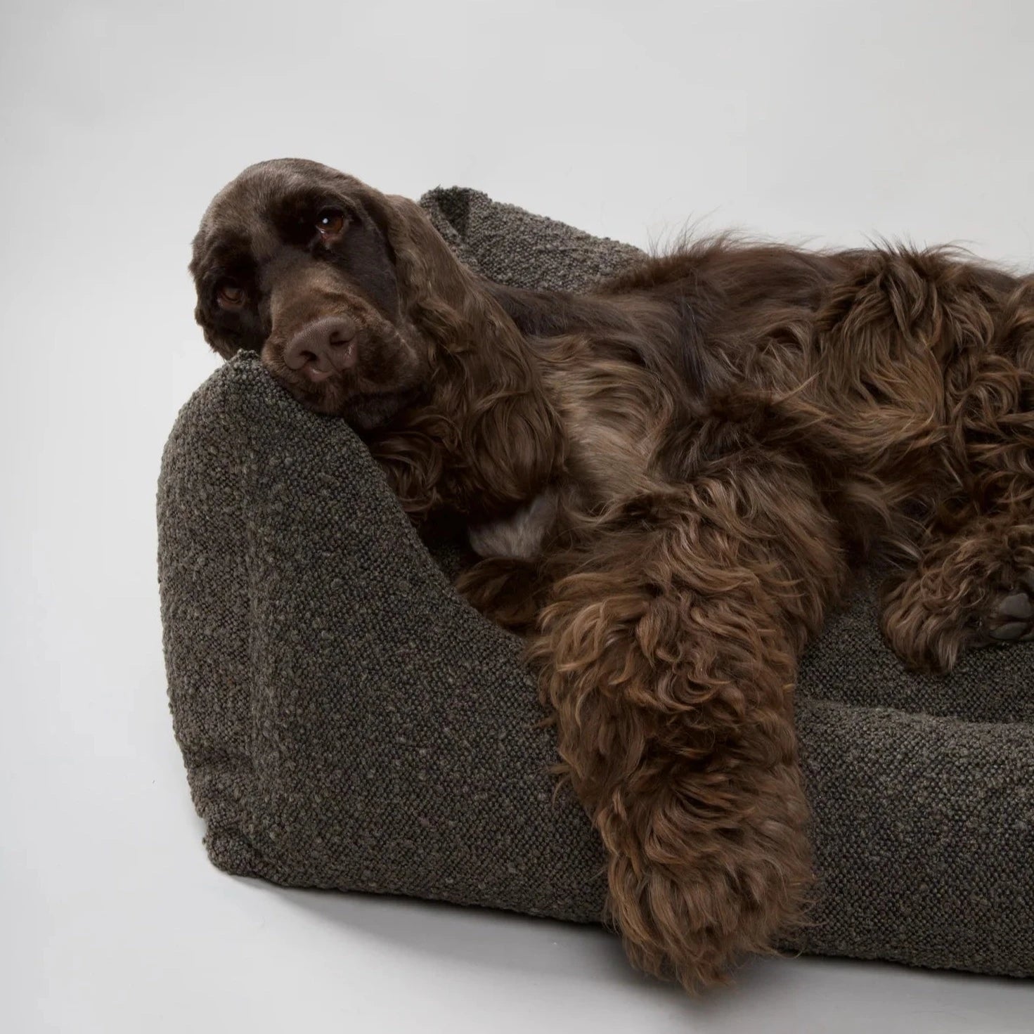 Billy Boucle seng - mocca - Petstudio.dk