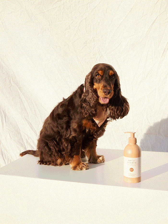 Cuddle+care shampoo - LUFT - Petstudio.dk