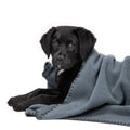 Fleece tæppe - Dove blue - Petstudio.dk