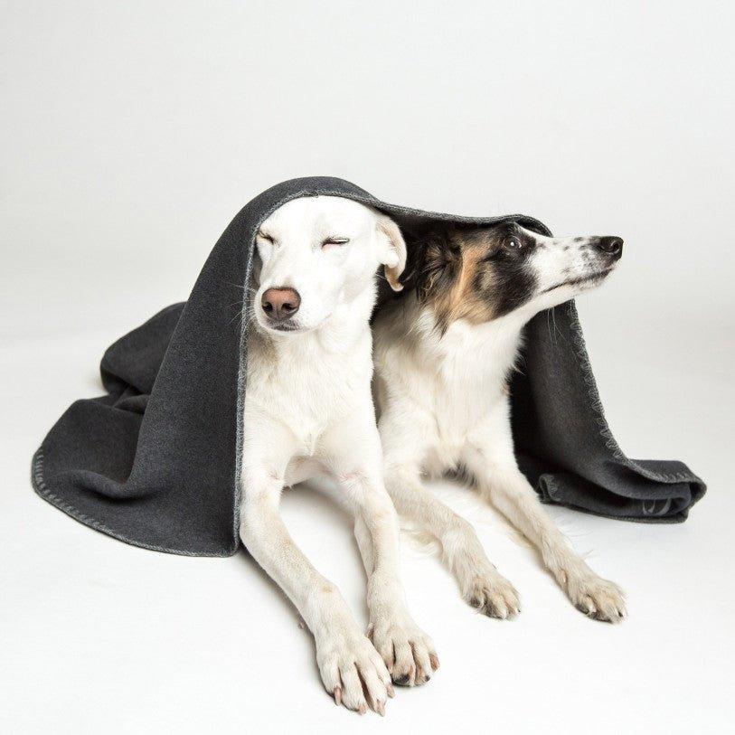 Fleece tæppe - mørkegrå - Petstudio.dk