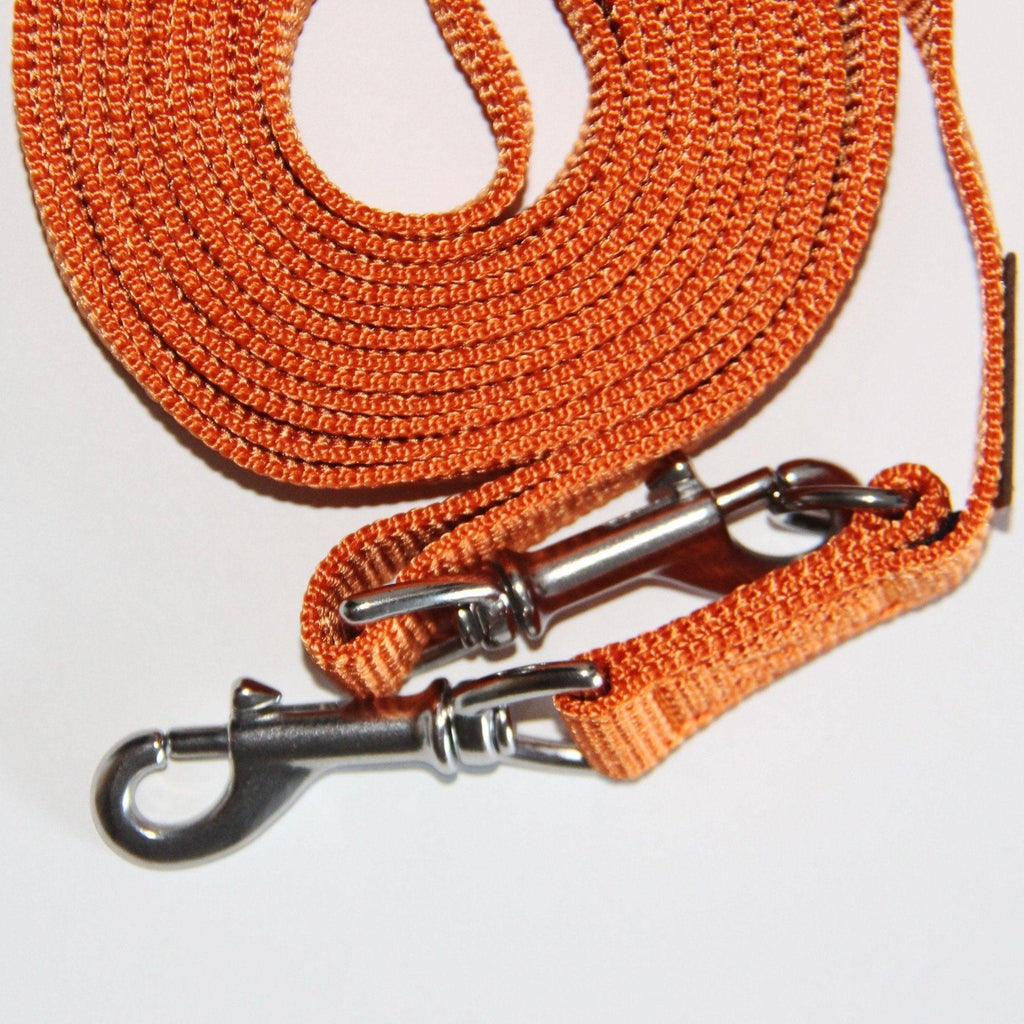 Haqihana Line - Carrot - Petstudio.dk