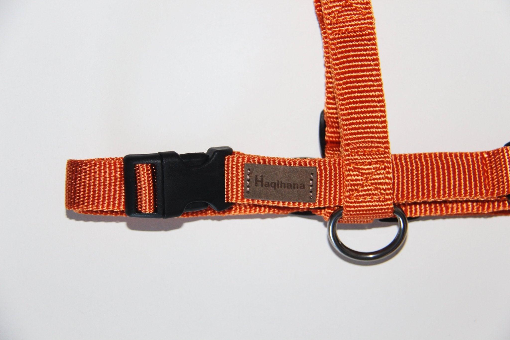 Haqihana Sele - Carrot - Petstudio.dk