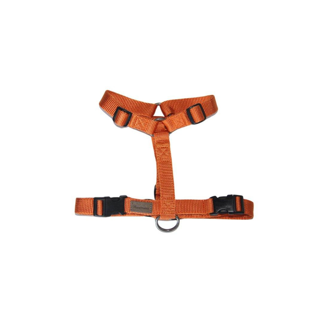 Haqihana Sele - Carrot - Petstudio.dk