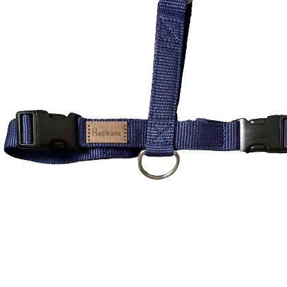 Haqihana Sele - Navy - Petstudio.dk
