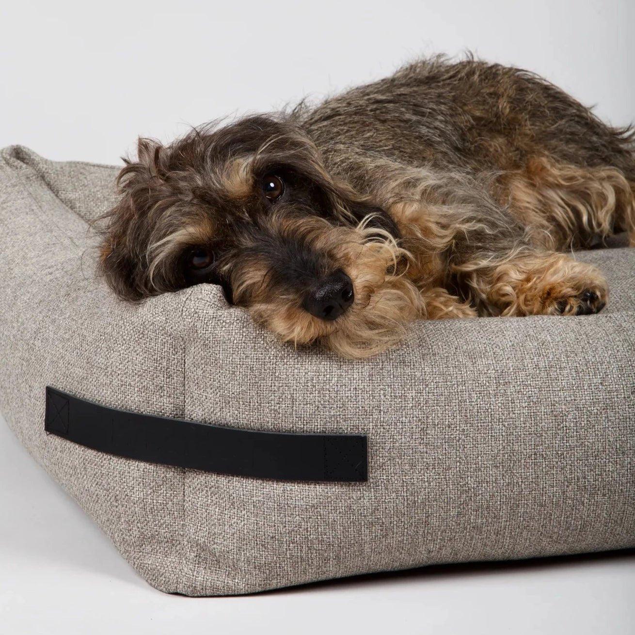 Hygge hundeseng - Cappuccino - Petstudio.dk