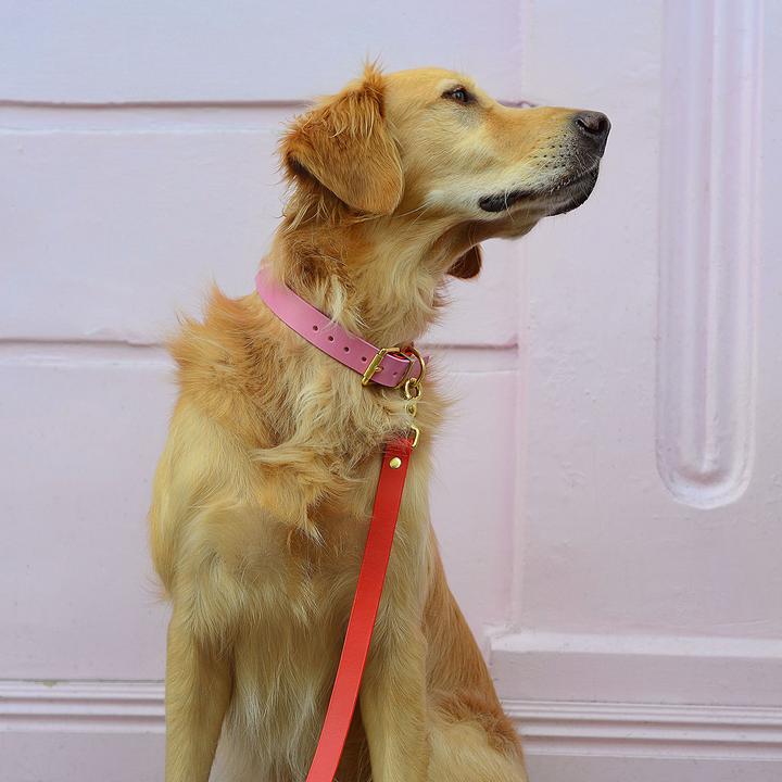 Pink & Rødt Halsbånd - Petstudio.dk